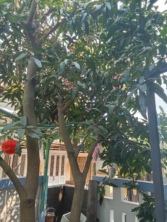 Hoi An Smart Garden Villa מראה חיצוני תמונה